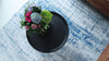 LDP Griff Rug