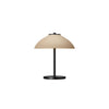 Canopy Table Lamp
