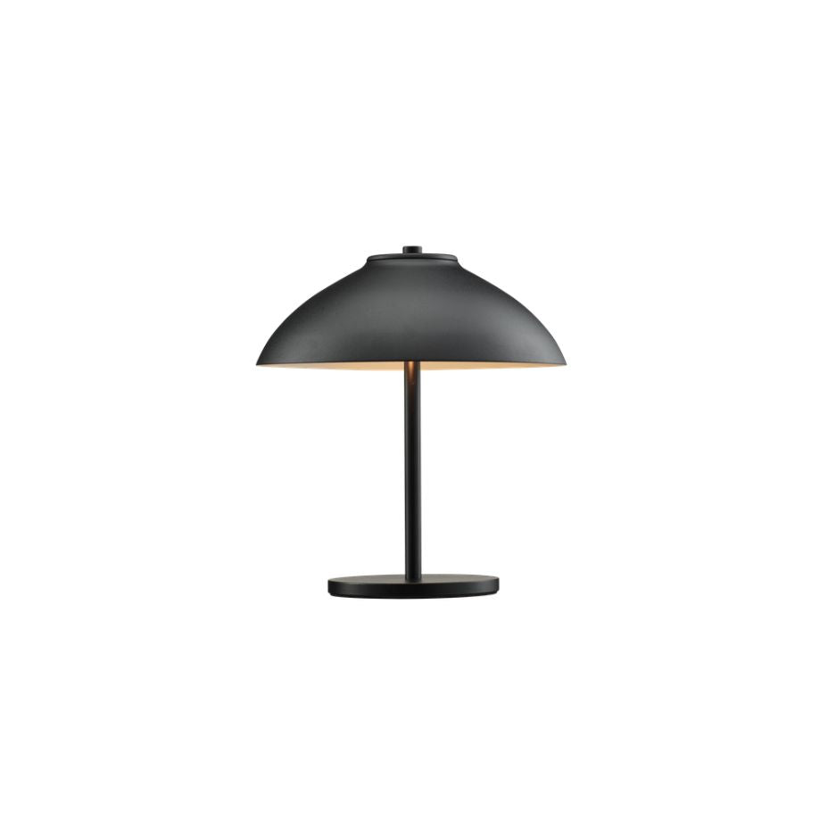 Canopy Table Lamp
