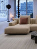 Vesta Collection